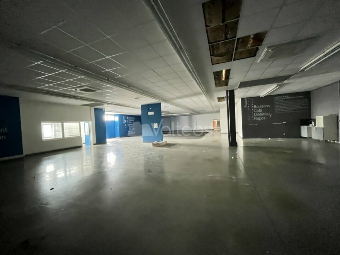 Photo 6 – location locaux d'activités	MONTAUBAN (82000)