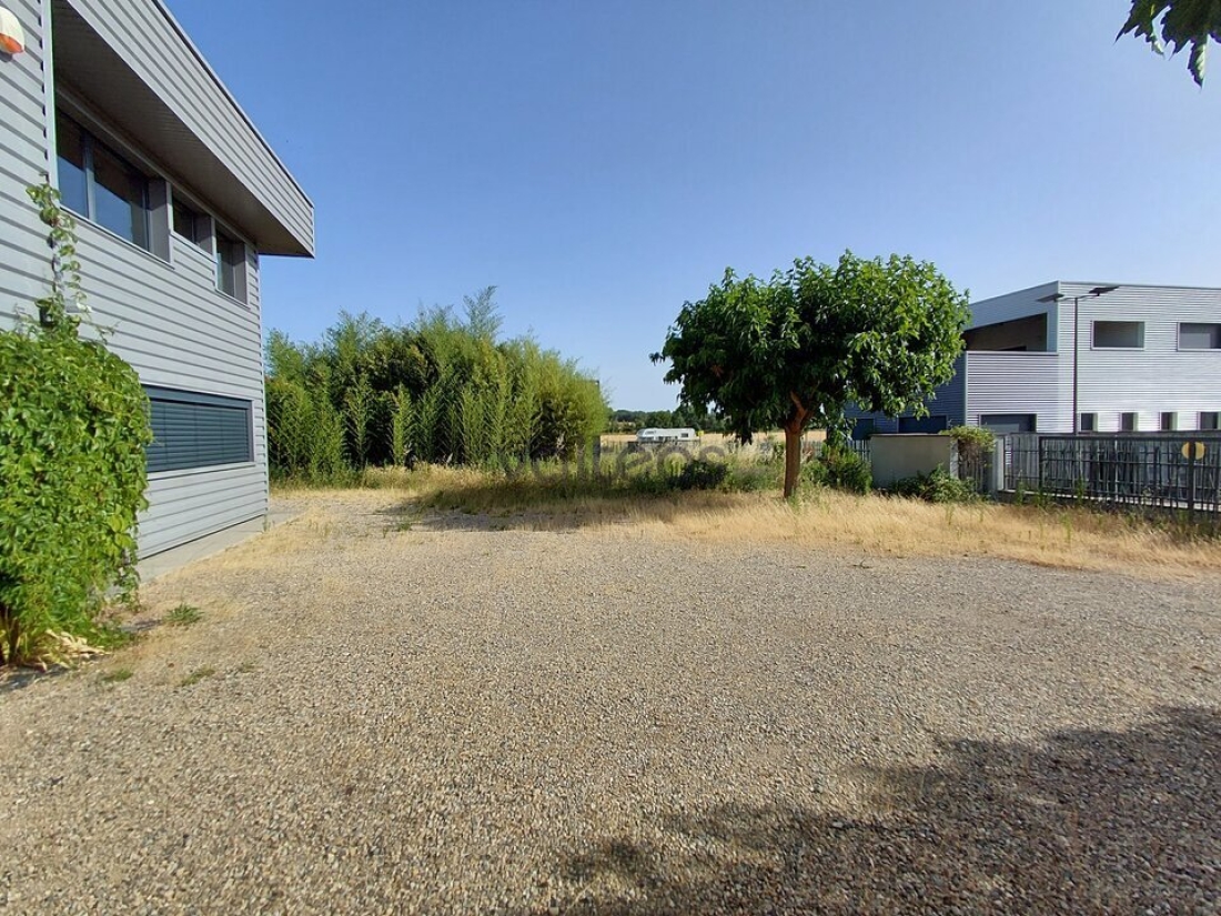 Photo 5 – location locaux d'activités	QUINT-FONSEGRIVES (31130)