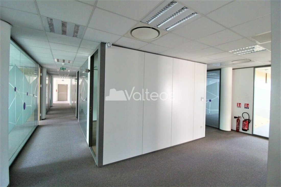 Photo 8 – location bureaux	BALMA (31130)