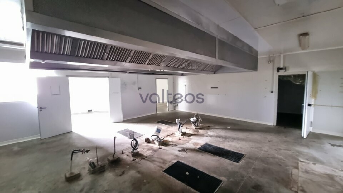 Photo 3 – vente locaux d'activités	CARBONNE (31390)