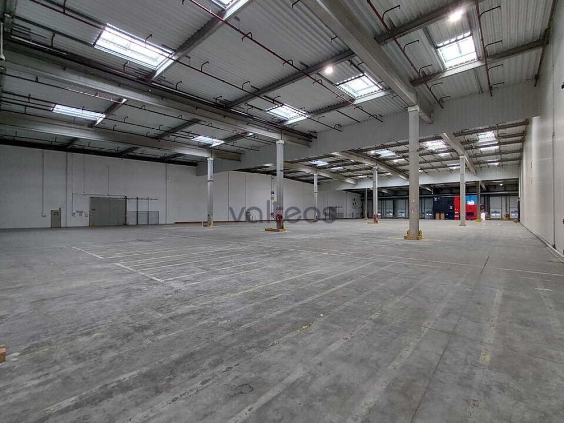 Photo 6 – location locaux d'activités	BAZIÈGE (31450)