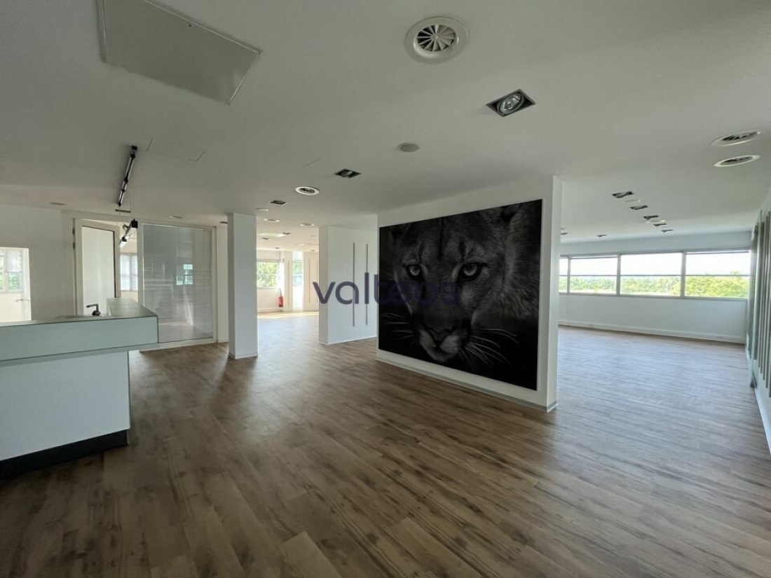 Photo 2 – location bureaux	LABEGE (31670)