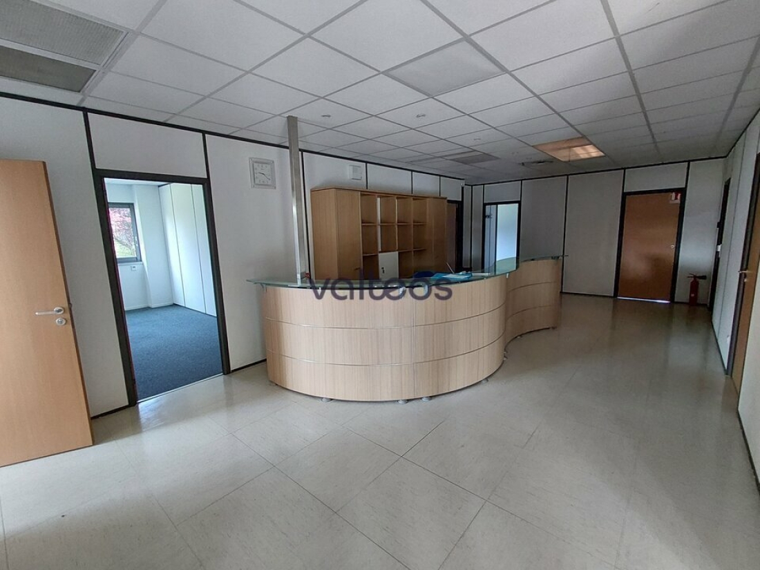 Photo 2 – location locaux d'activités	FLOURENS (31130)