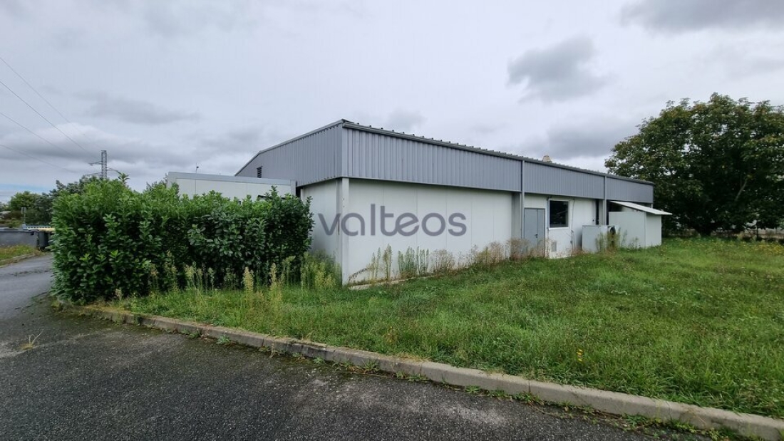 Photo 1 – vente locaux d'activités	CARBONNE (31390)