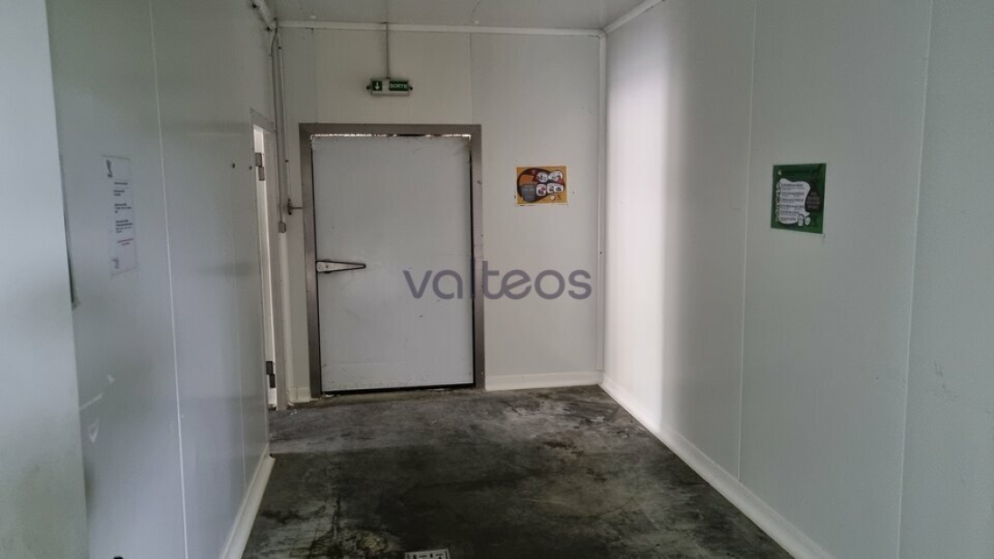 Photo 4 – vente locaux d'activités	CARBONNE (31390)