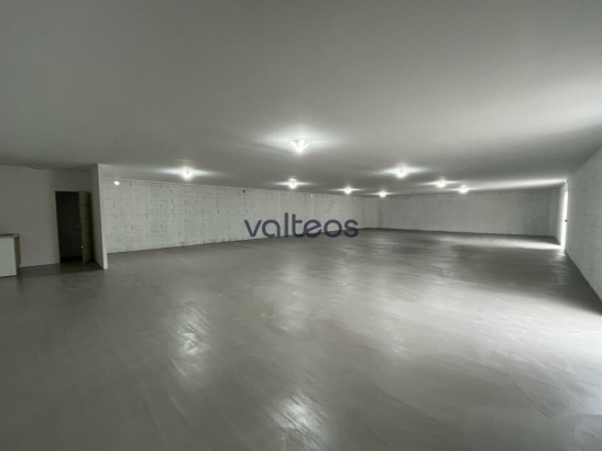 Photo 1 – location locaux d'activités	TOULOUSE (31300)