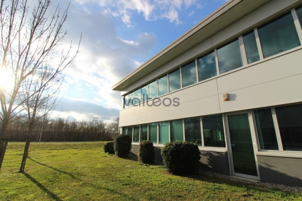 Photo 1 – location bureaux	LABEGE (31670)