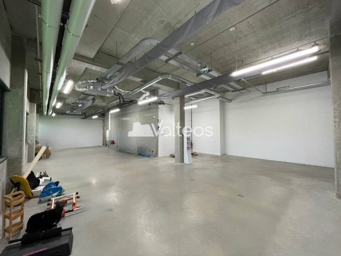 Photo 2 – location locaux d'activités	TOULOUSE (31400)