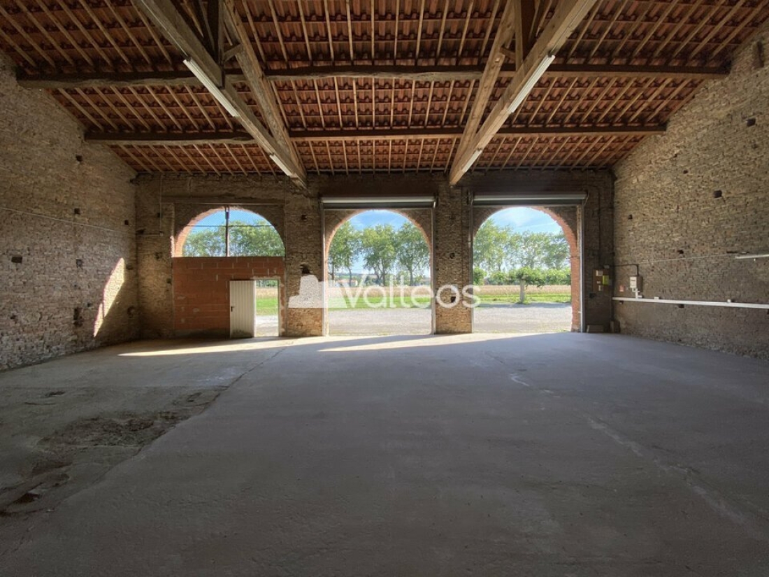 Photo 5 – location locaux d'activités	MONTGAILLARD LAURAGAIS (31290)