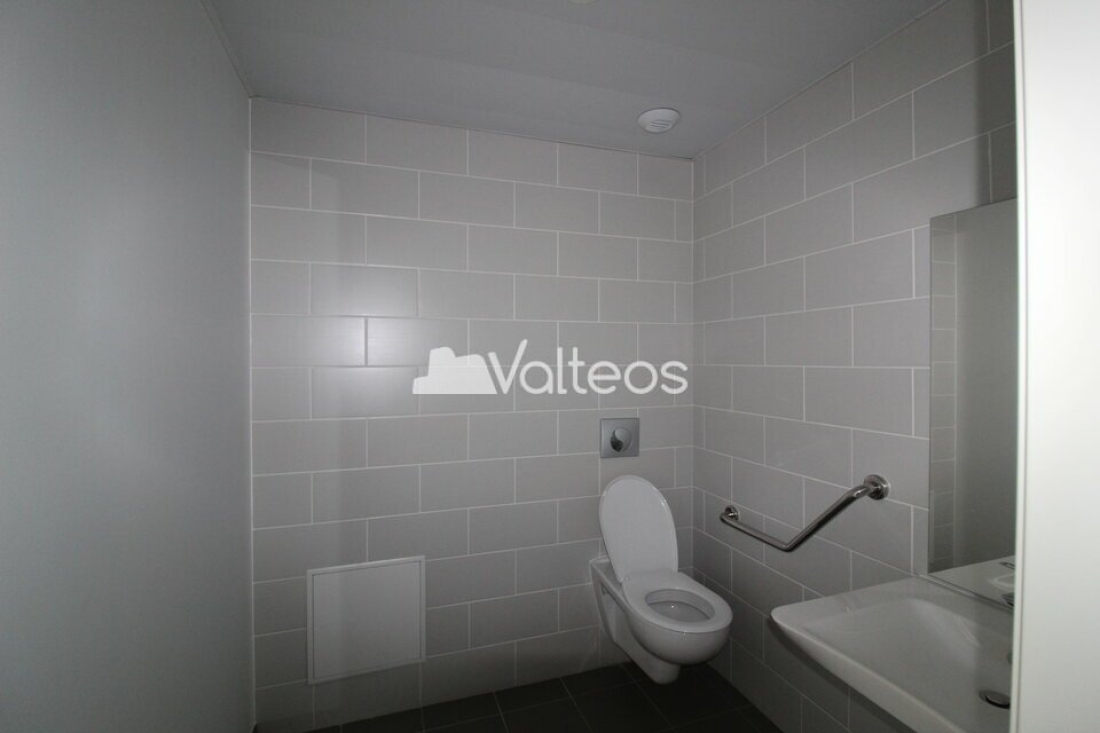 Photo 8 – location locaux d'activités	TOULOUSE (31100)