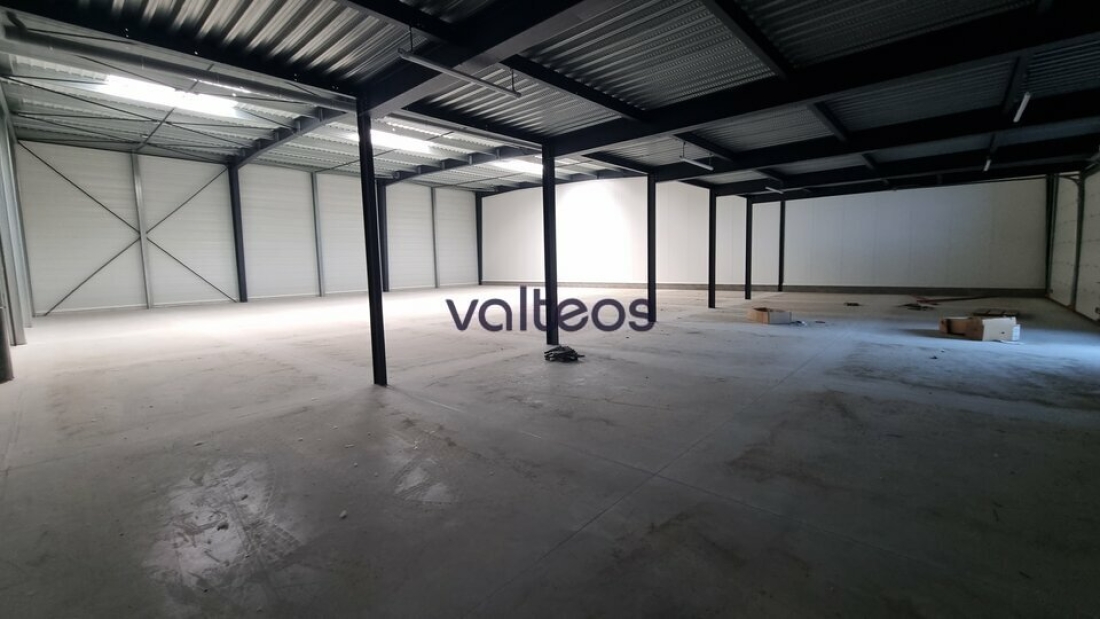 Photo 2 – location locaux d'activités	BRUGUIÈRES (31150)