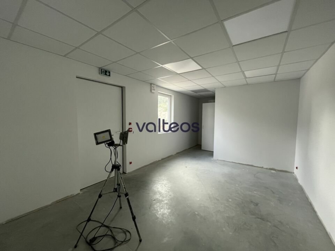 Photo 5 – vente locaux d'activités	LABARTHE-SUR-LÈZE (31860)