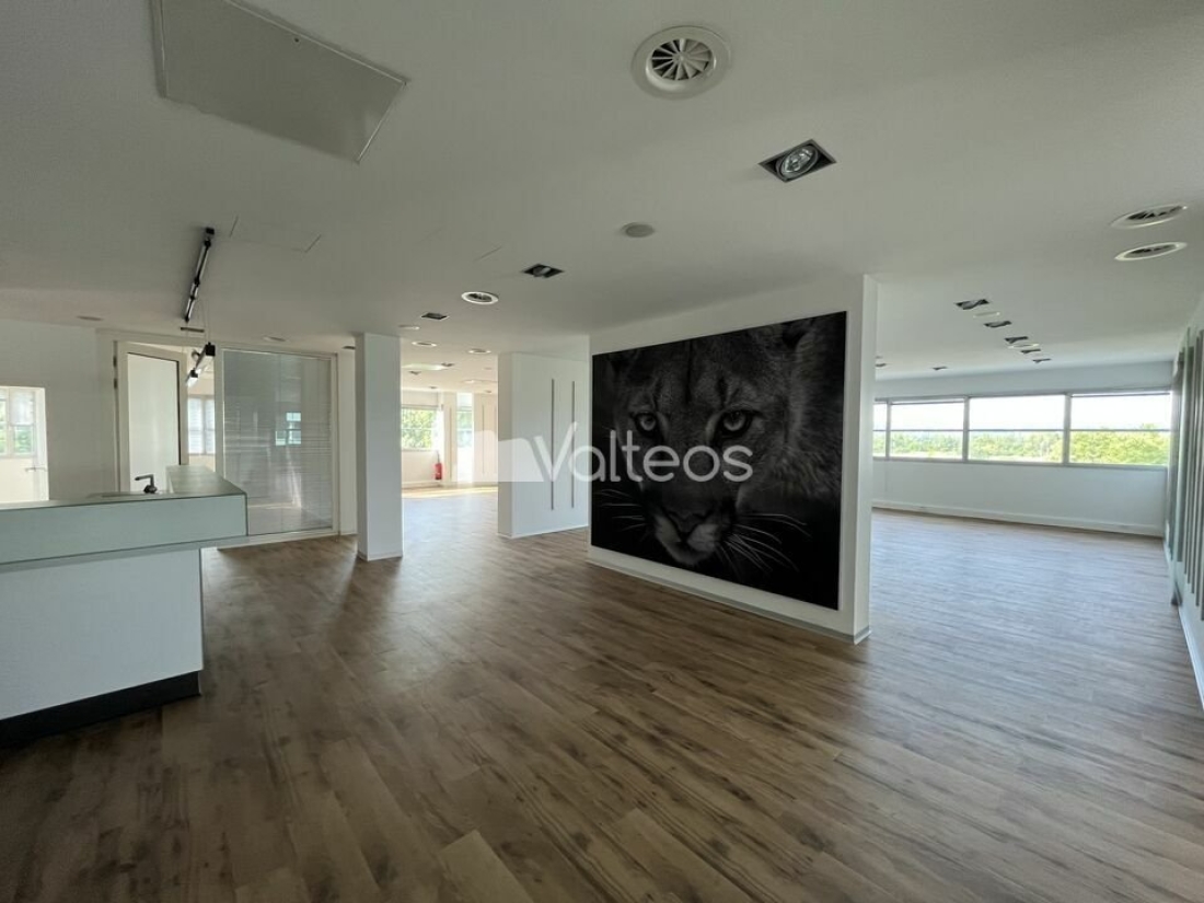 Photo 11 – location bureaux	LABEGE (31670)