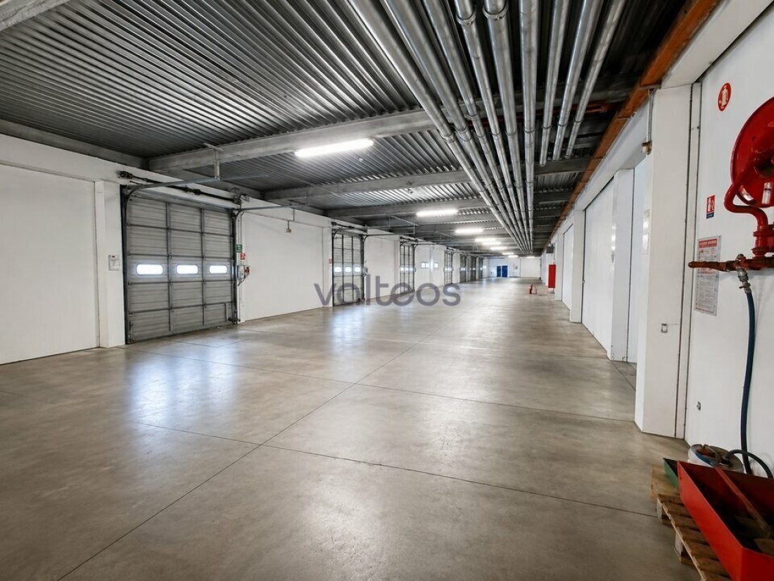 Photo 3 – location locaux d'activités	GRISOLLES (82170)