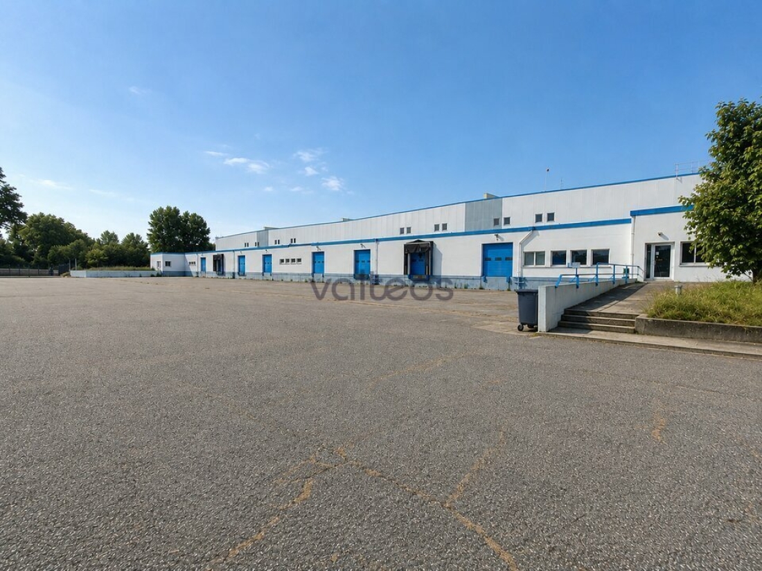 Photo 1 – location locaux d'activités	GRISOLLES (82170)