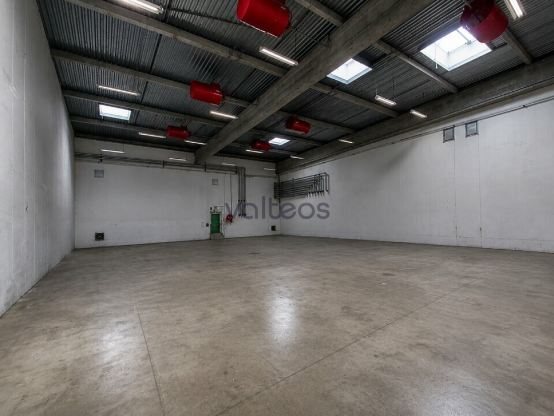 Photo 4 – location locaux d'activités	GRISOLLES (82170)