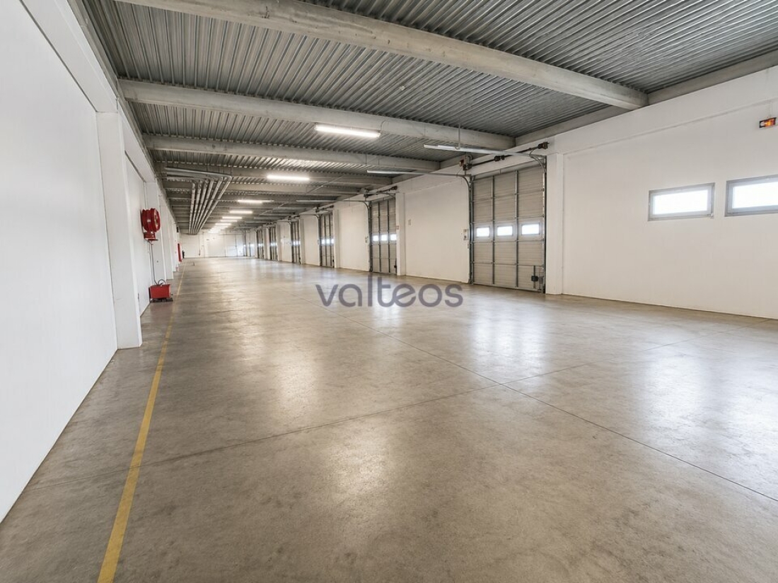 Photo 2 – location locaux d'activités	GRISOLLES (82170)