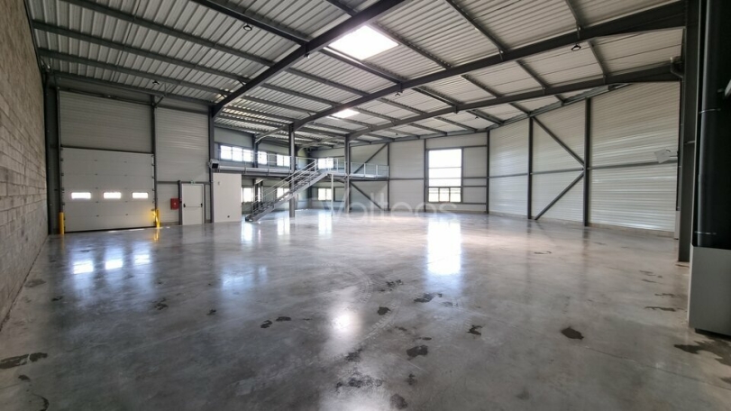 Photo 1 – location locaux d'activités	PIBRAC (31820)