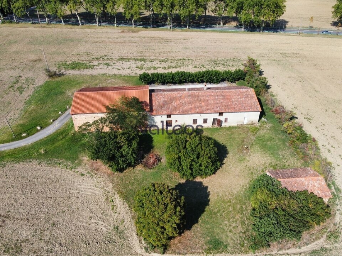 Photo 1 – location locaux d'activités	MONTGAILLARD LAURAGAIS (31290)