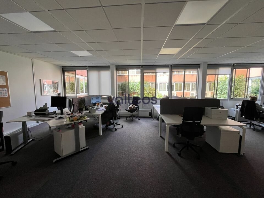 Photo 4 – location bureaux	BALMA (31130)