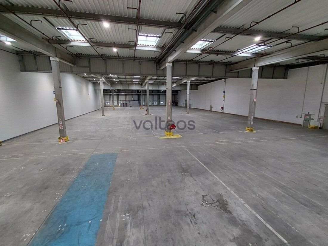 Photo 4 – location locaux d'activités	BAZIÈGE (31450)