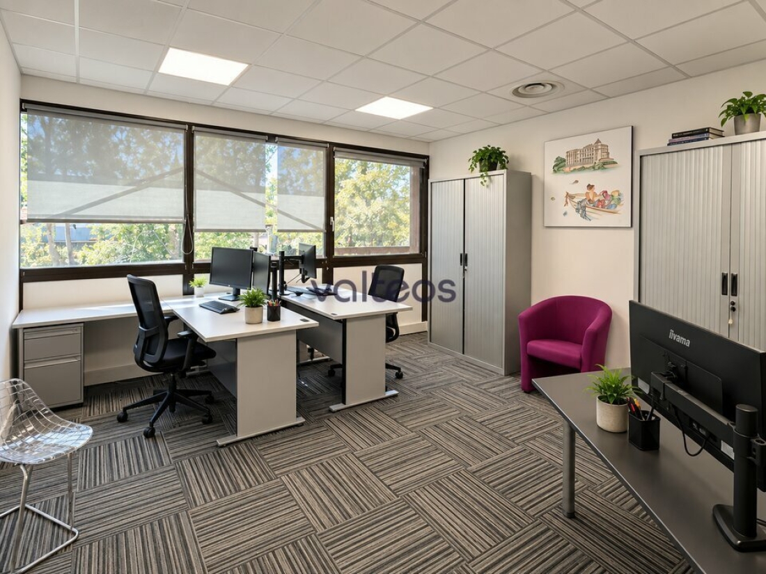 Photo 4 – location bureaux	BALMA (31130)