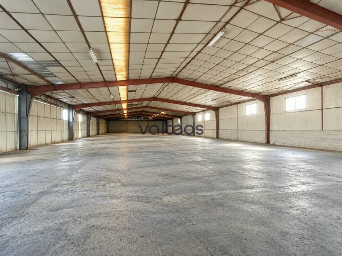 Photo 3 – location locaux d'activités	MONTAUBAN (82000)