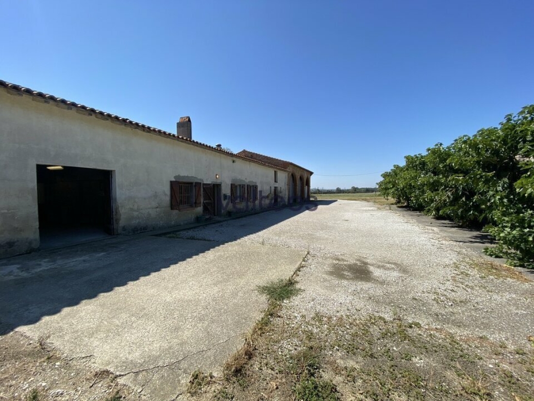 Photo 3 – location locaux d'activités	MONTGAILLARD LAURAGAIS (31290)