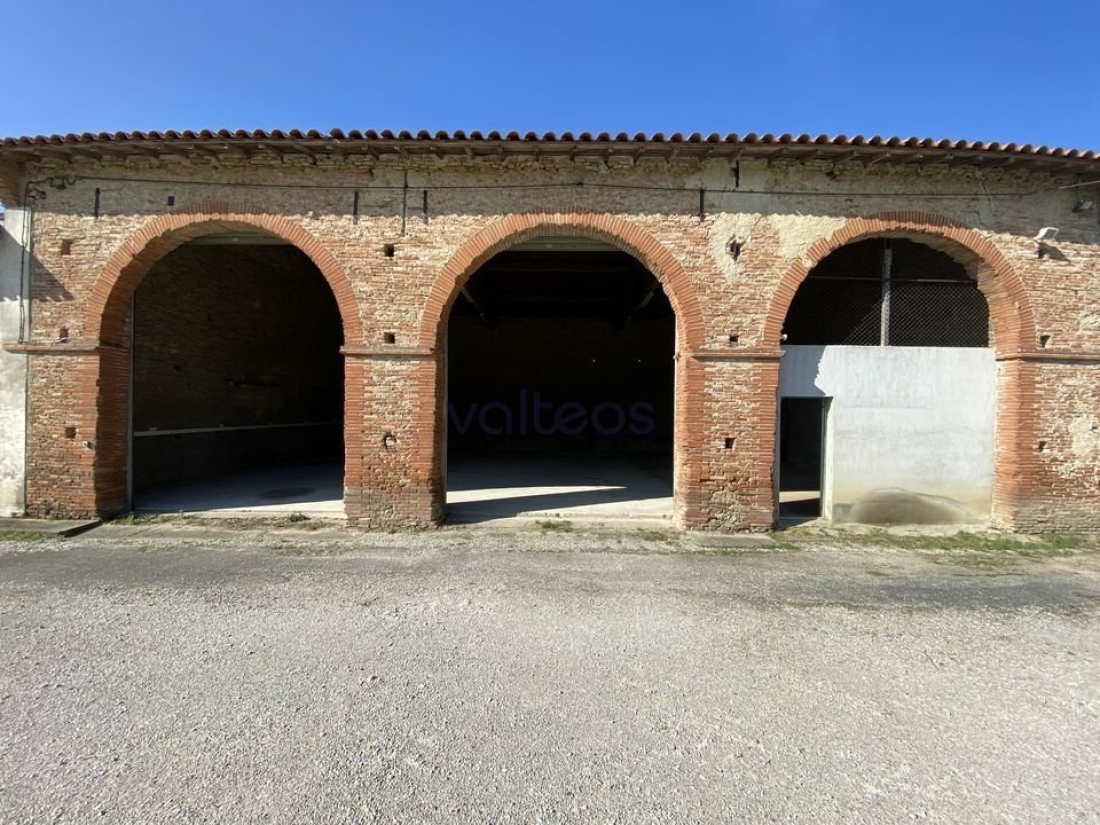 Photo 4 – location locaux d'activités	MONTGAILLARD LAURAGAIS (31290)