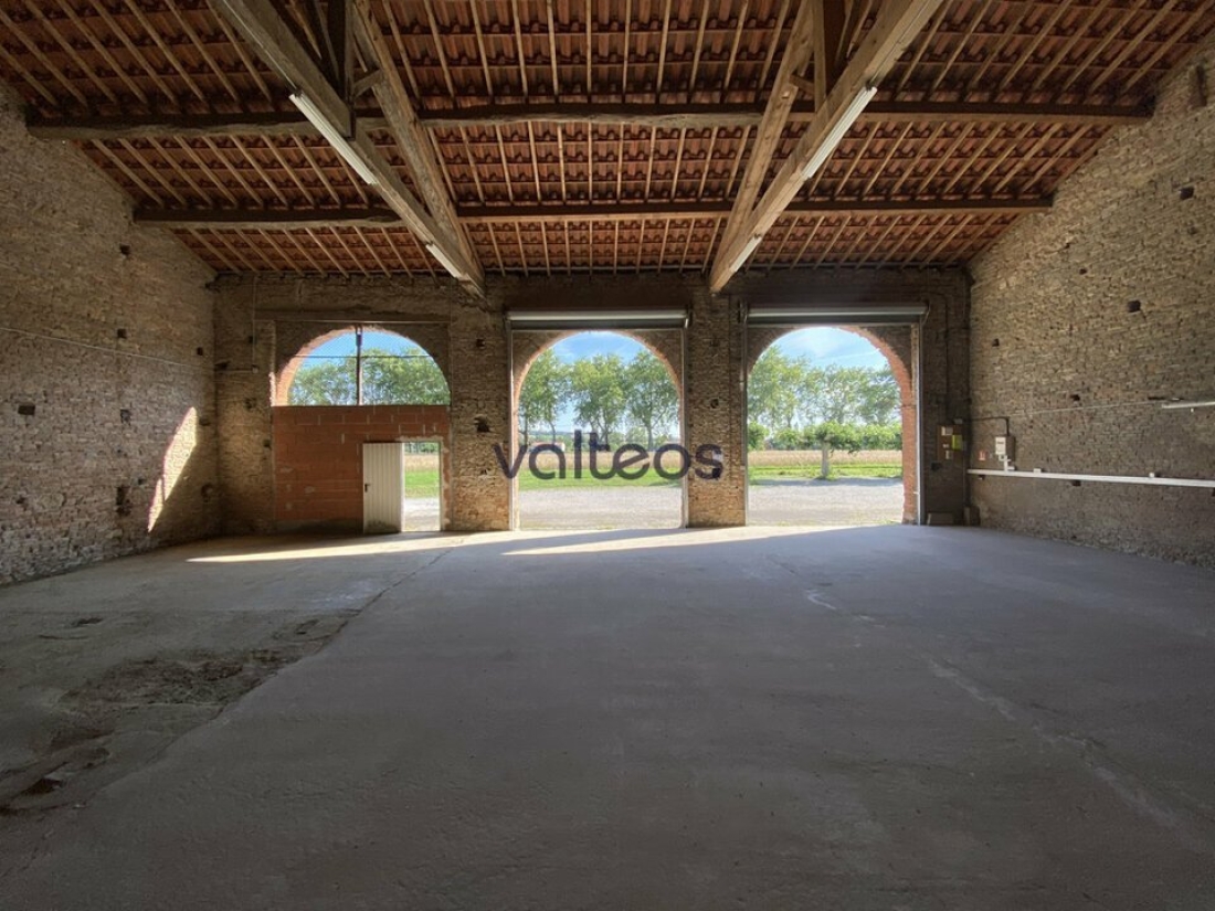 Photo 5 – location locaux d'activités	MONTGAILLARD LAURAGAIS (31290)