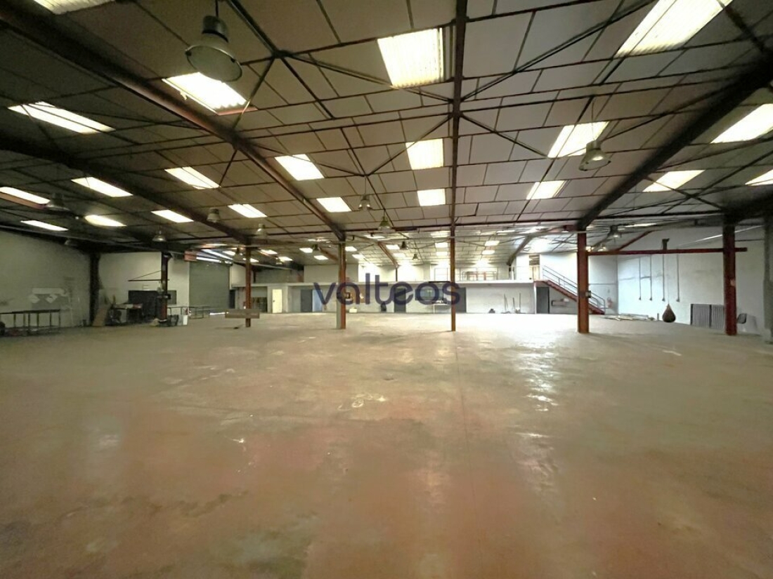 Photo 9 – location locaux d'activités	PLAISANCE-DU-TOUCH (31830)