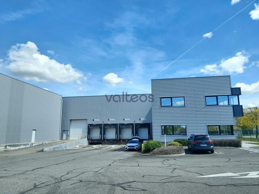 Photo 2 – location locaux d'activités	VILLENEUVE LES BOULOC (31620)