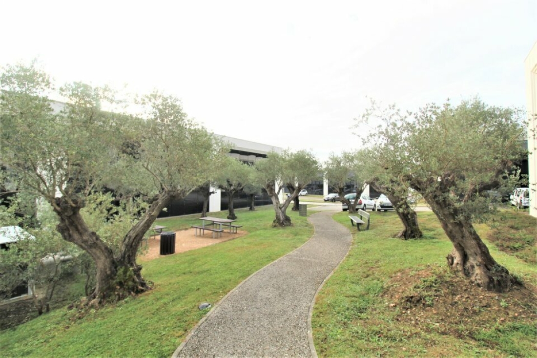 Photo 6 – location bureaux	COLOMIERS (31770)