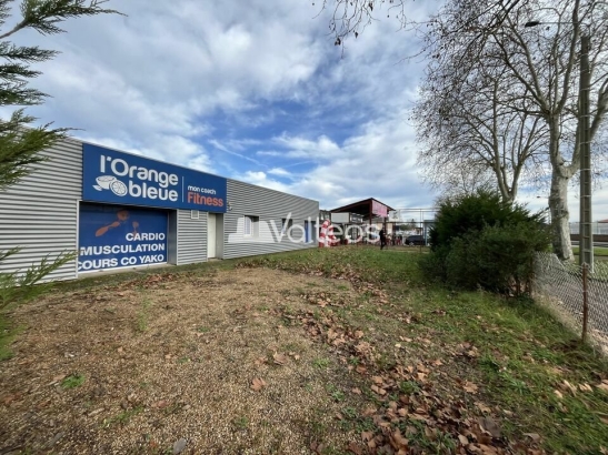 Photo 1 – location locaux commerciaux	PLAISANCE-DU-TOUCH (31830)